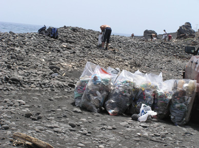 Compañeros recogiendo y separando basuras en la costa de Güimar